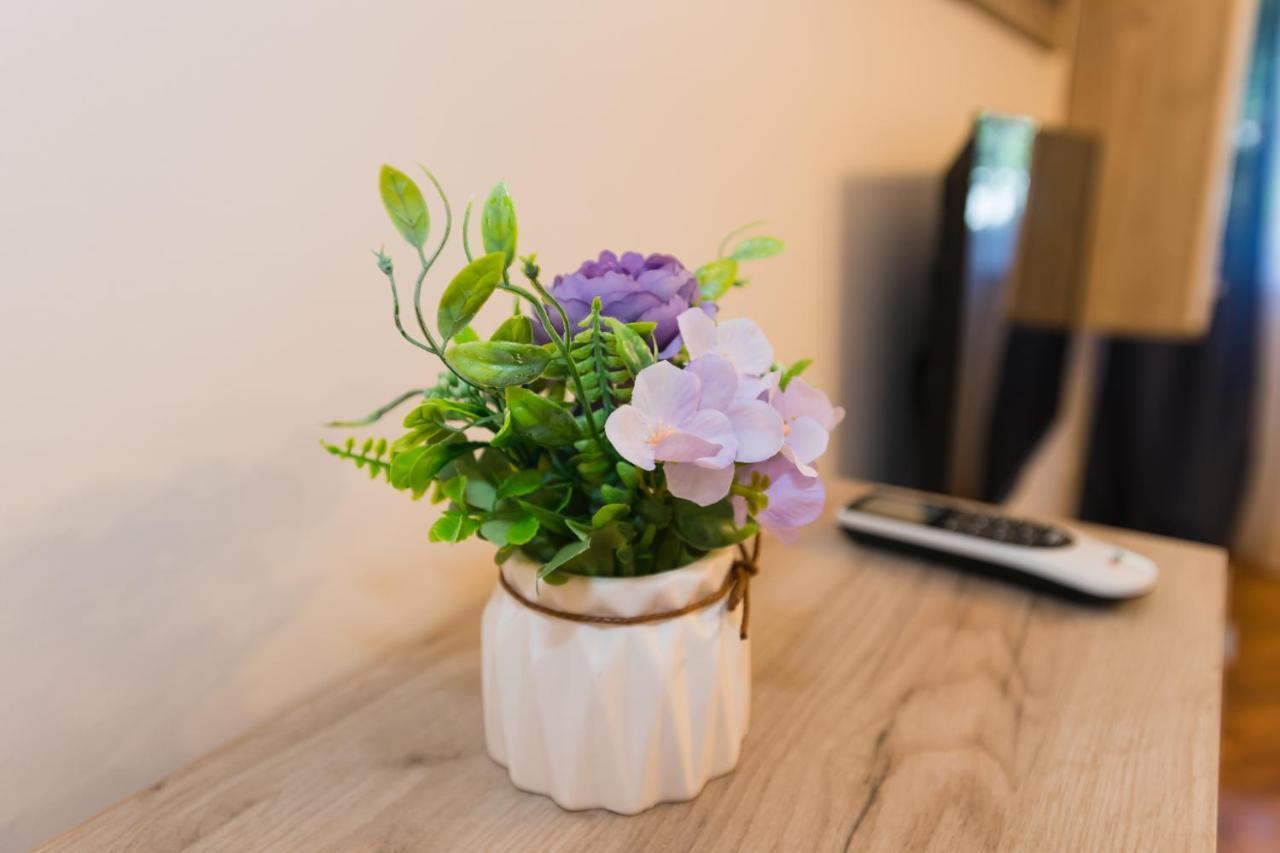 Apartman Studio Blue 苏博蒂察 外观 照片